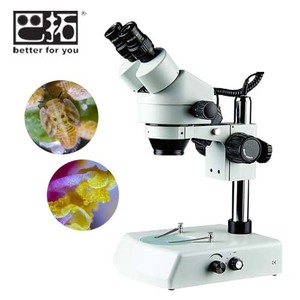 BJP-200双目解剖显微镜