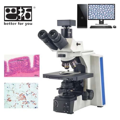 BSP-10N研究级生物显微镜