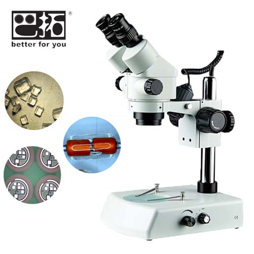XTL-2400双目体视显微镜