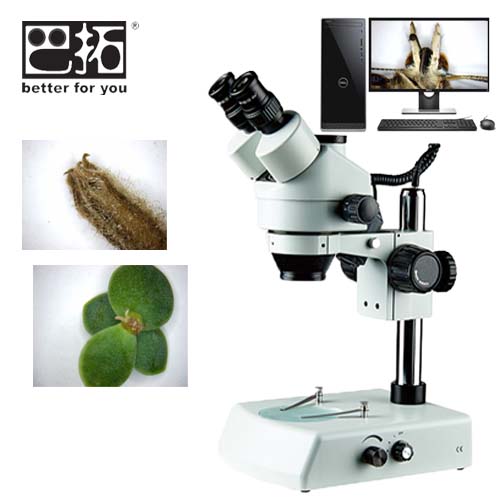 BJP-310三目解剖显微镜