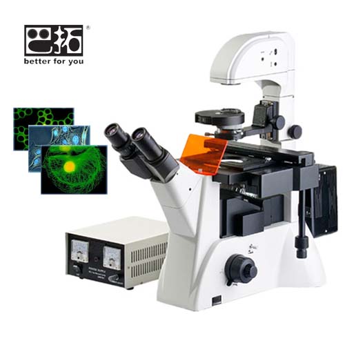 BSF-80倒置荧光显微镜