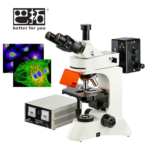 BSF-58正置荧光显微镜